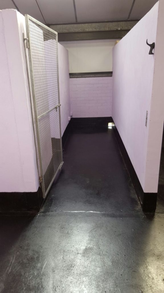A single, clean indoor dog kennel run with purple brick walls, black flooring, and a metal mesh gate.