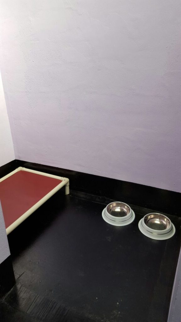 The interior of a clean dog kennel with light purple walls, a black floor, two stainless steel bowls on the ground, and a raised red pet bed in the corner.