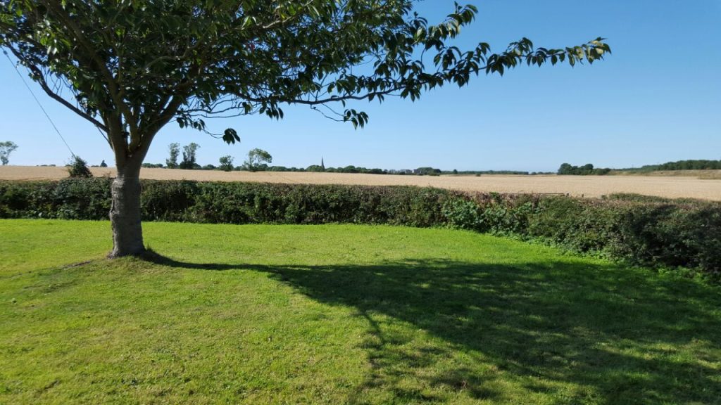A green grassy field in the foreground with a leafy tree casting a long shadow, overlooking a distant golden field and a church spire on the horizon.