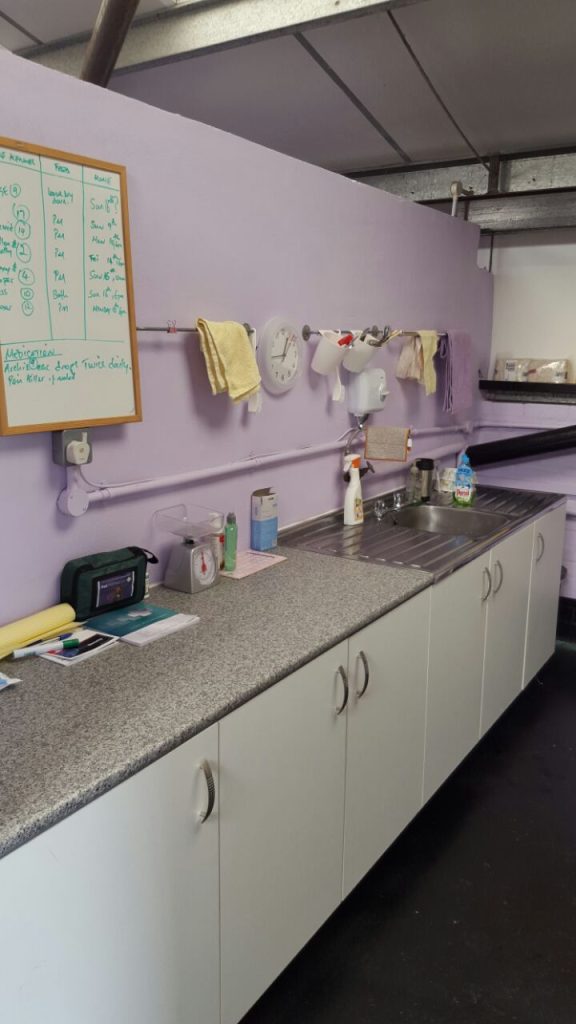A close-up of a kennel's preparation area showing a white counter with a sink, medical supplies, a small scale, and a whiteboard containing a feeding and medication schedule.