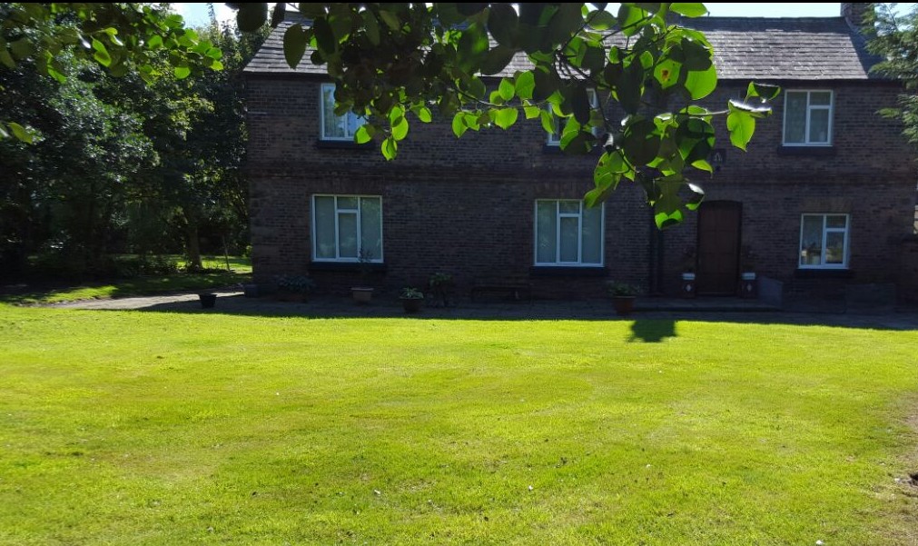 The front exterior of a two-story dark brick house with white-framed windows, viewed through the overhanging green leaves of a tree across a bright green lawn.