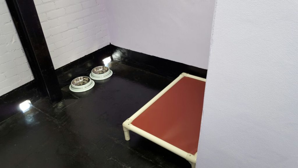 The interior of a clean dog kennel with light purple walls, a black floor, two stainless steel bowls, and a raised red pet bed.
