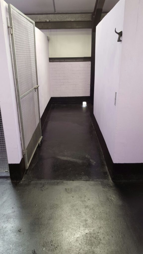 A view down an empty, clean dog kennel run with light purple walls, a black floor, and a metal wire door.