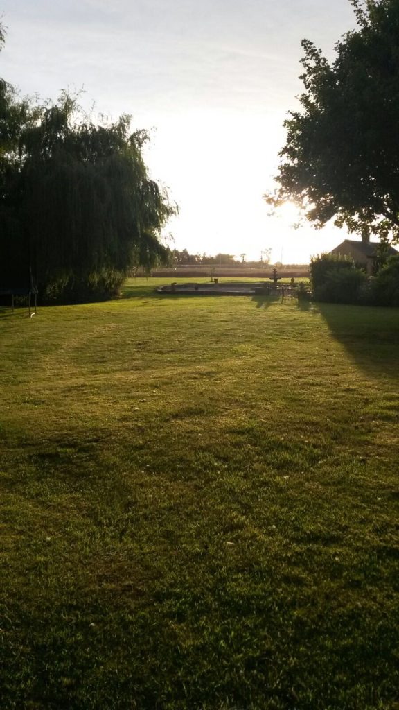 A scenic view of a wide lawn at golden hour, with sunlight streaming through willow trees toward a decorative fountain in the distance.